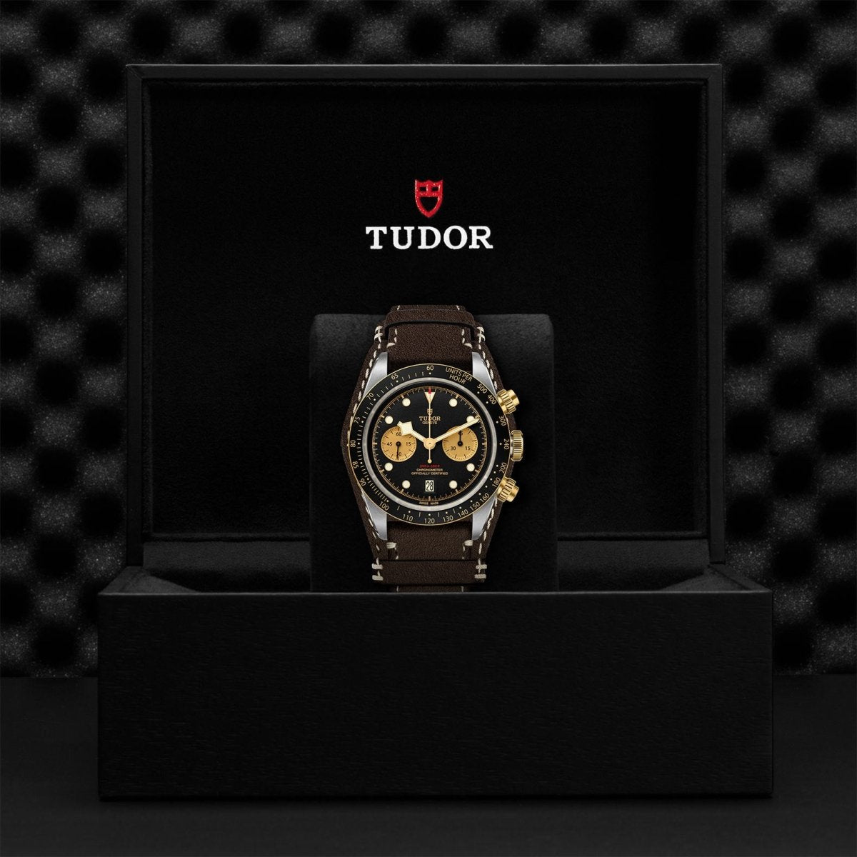 TUDOR - Black Bay Chrono S & G - Tustains Jewellers