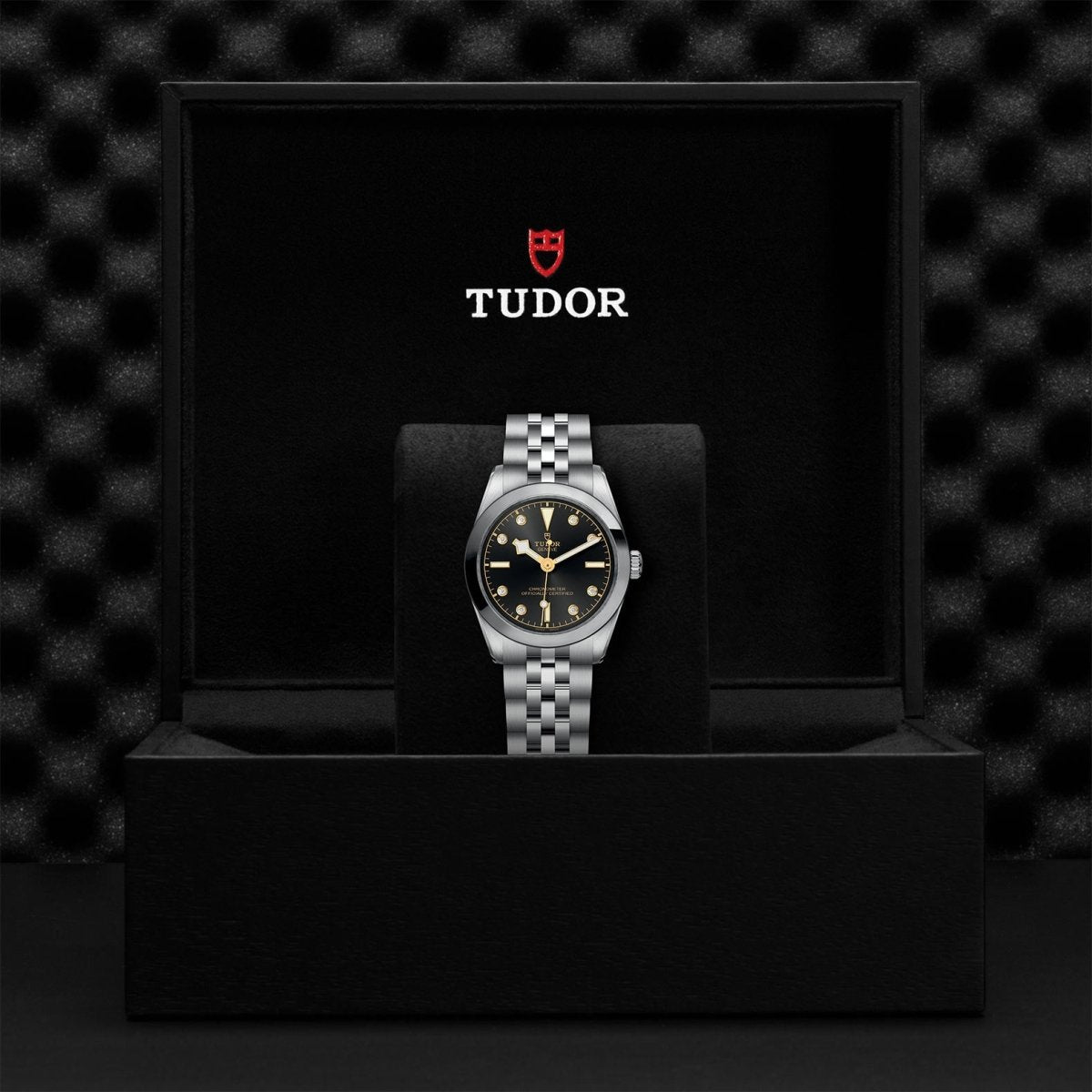 TUDOR - Black Bay 31 - Tustains Jewellers