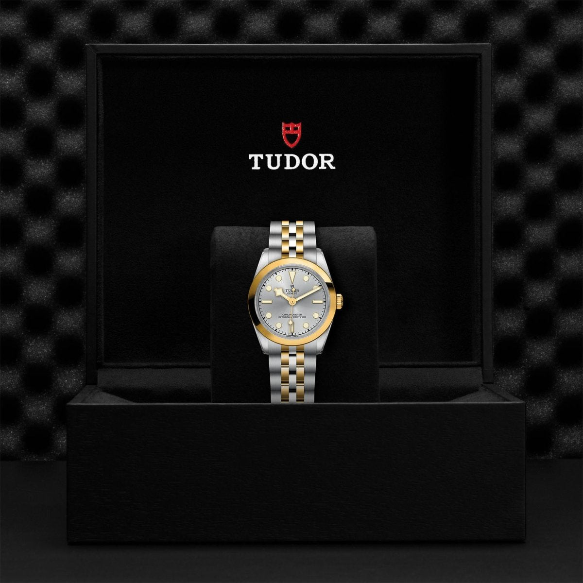 TUDOR - Black Bay 31 S&G - Tustains Jewellers