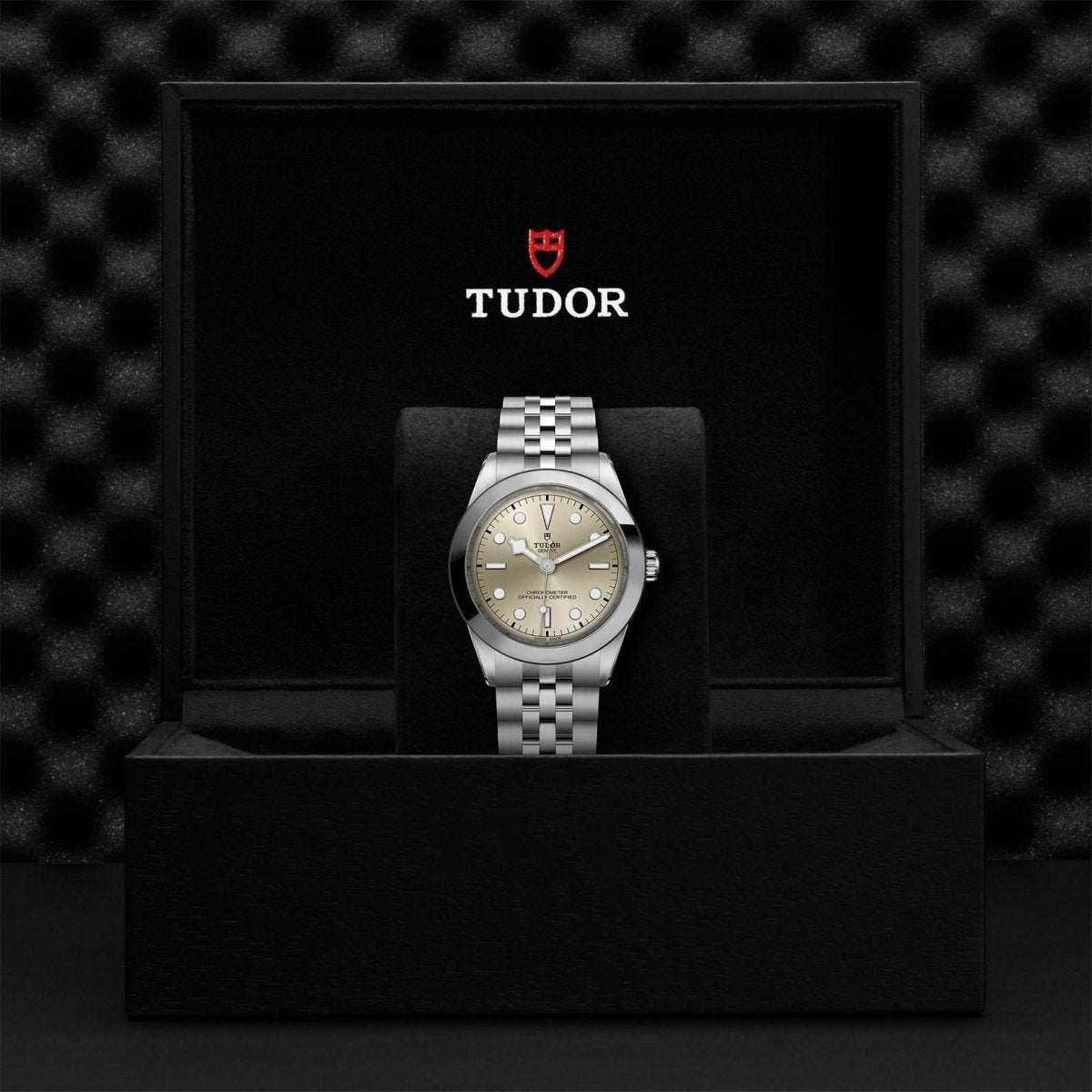 TUDOR - Black Bay 39 - Tustains Jewellers