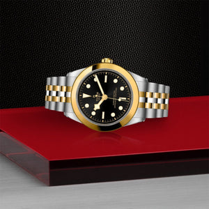 TUDOR - Black Bay 39 S&G - Tustains Jewellers