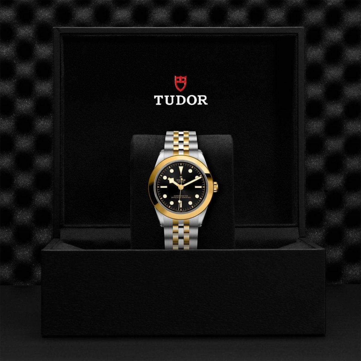 TUDOR - Black Bay 39 S&G - Tustains Jewellers