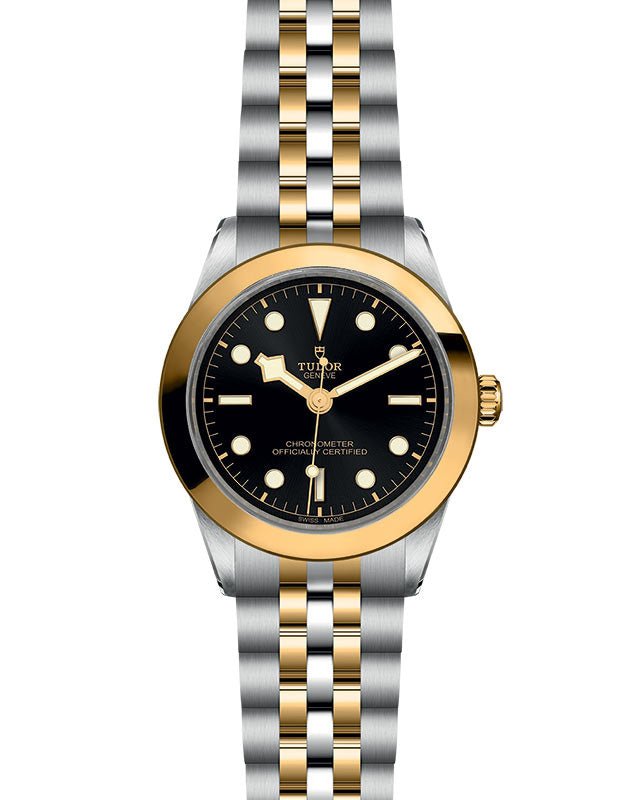 TUDOR - Black Bay 39 S&G - Tustains Jewellers