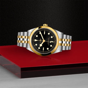 TUDOR - Black Bay 41 S&G - Tustains Jewellers