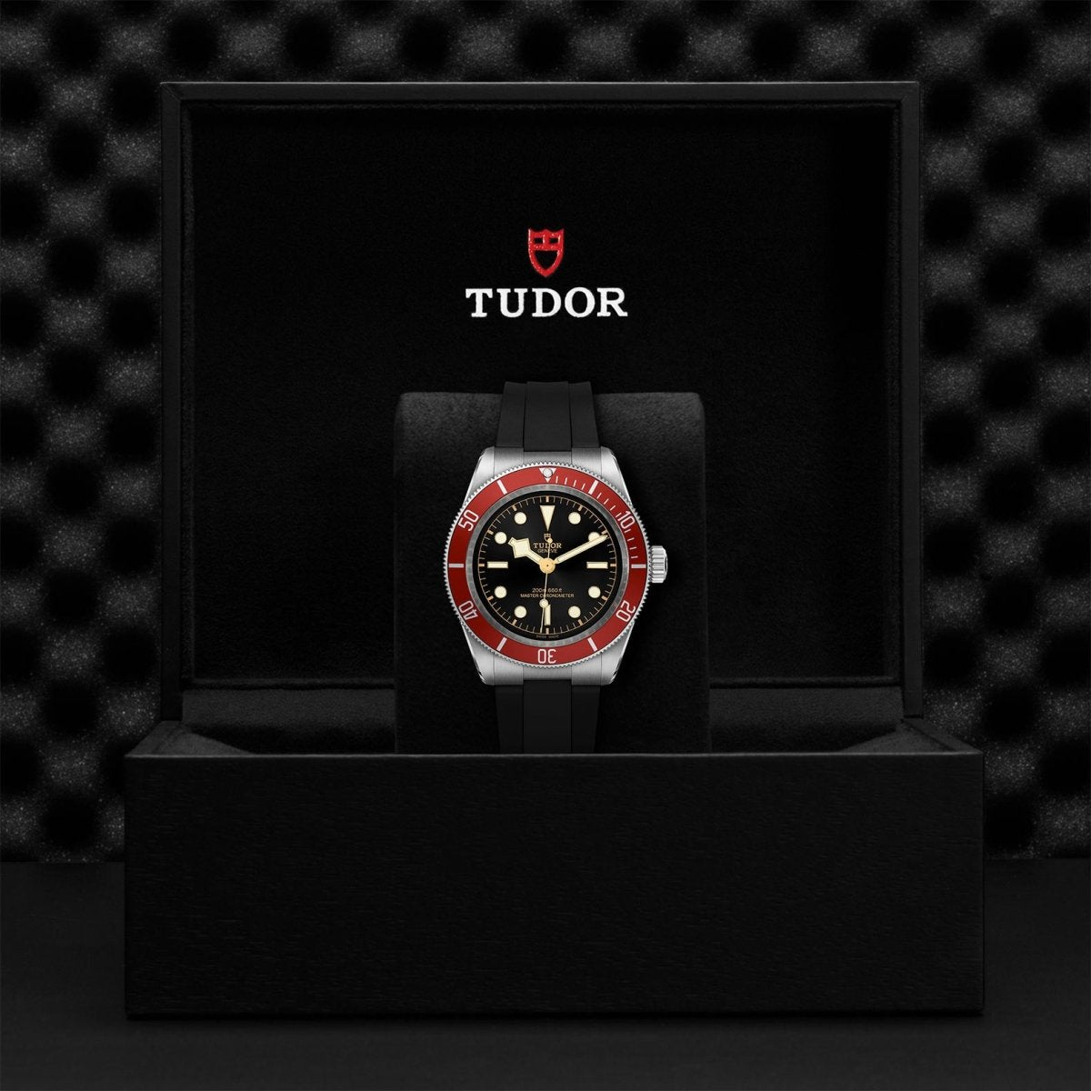 TUDOR - Black Bay - Tustains Jewellers