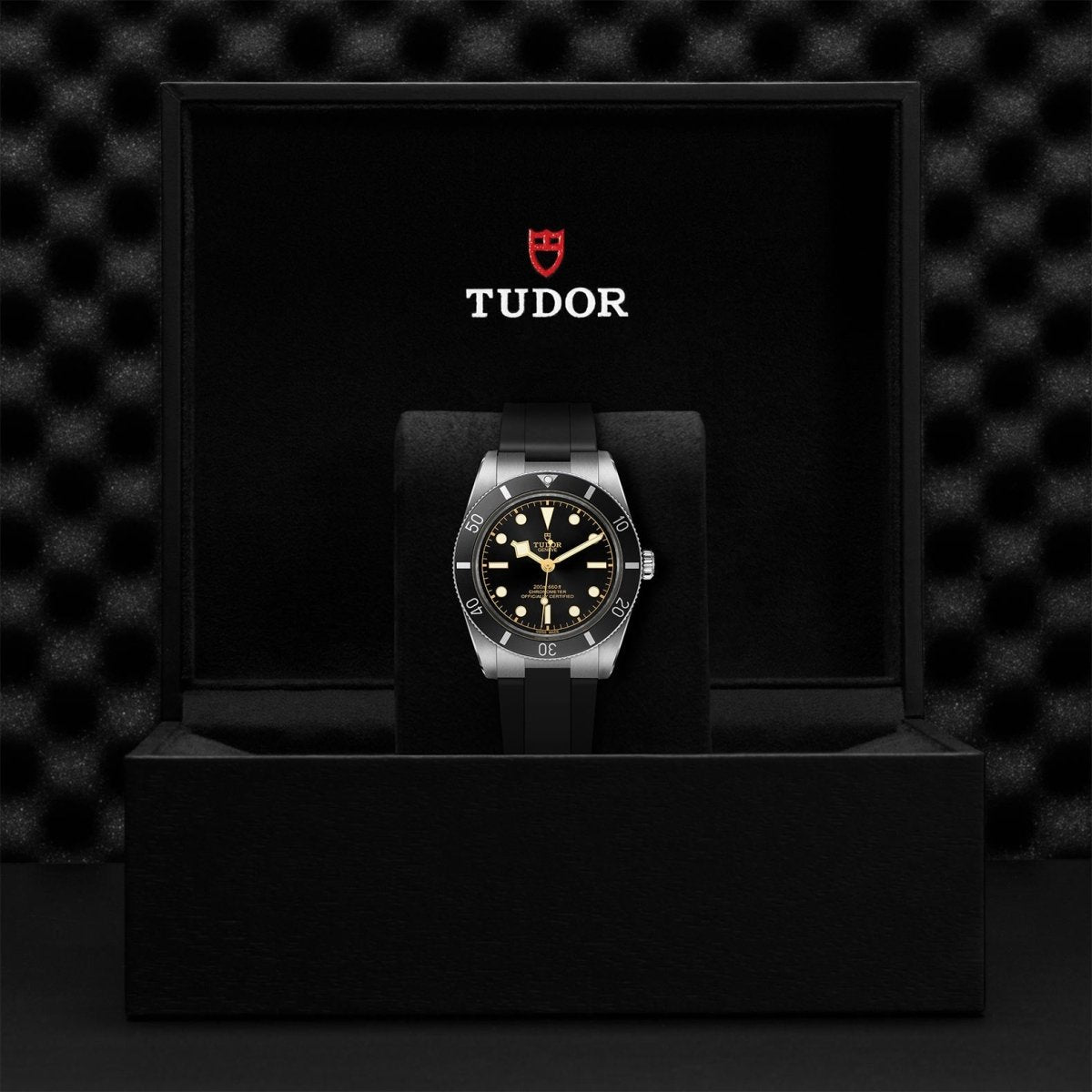 TUDOR - Black Bay 54 - Tustains Jewellers