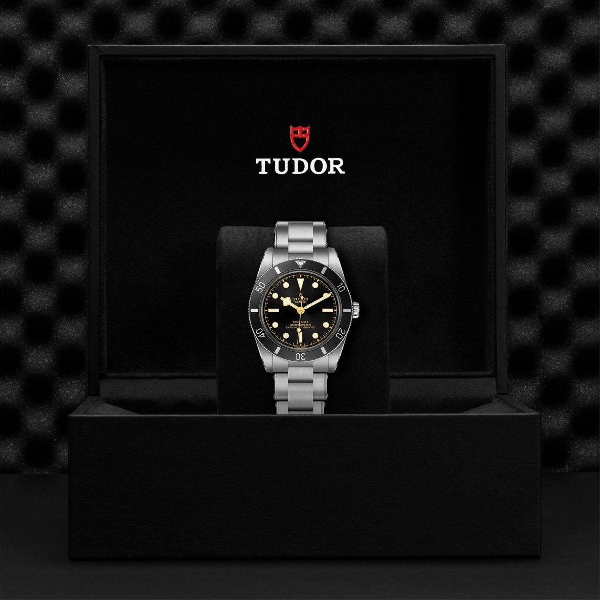 TUDOR - Black Bay 54 - Tustains Jewellers