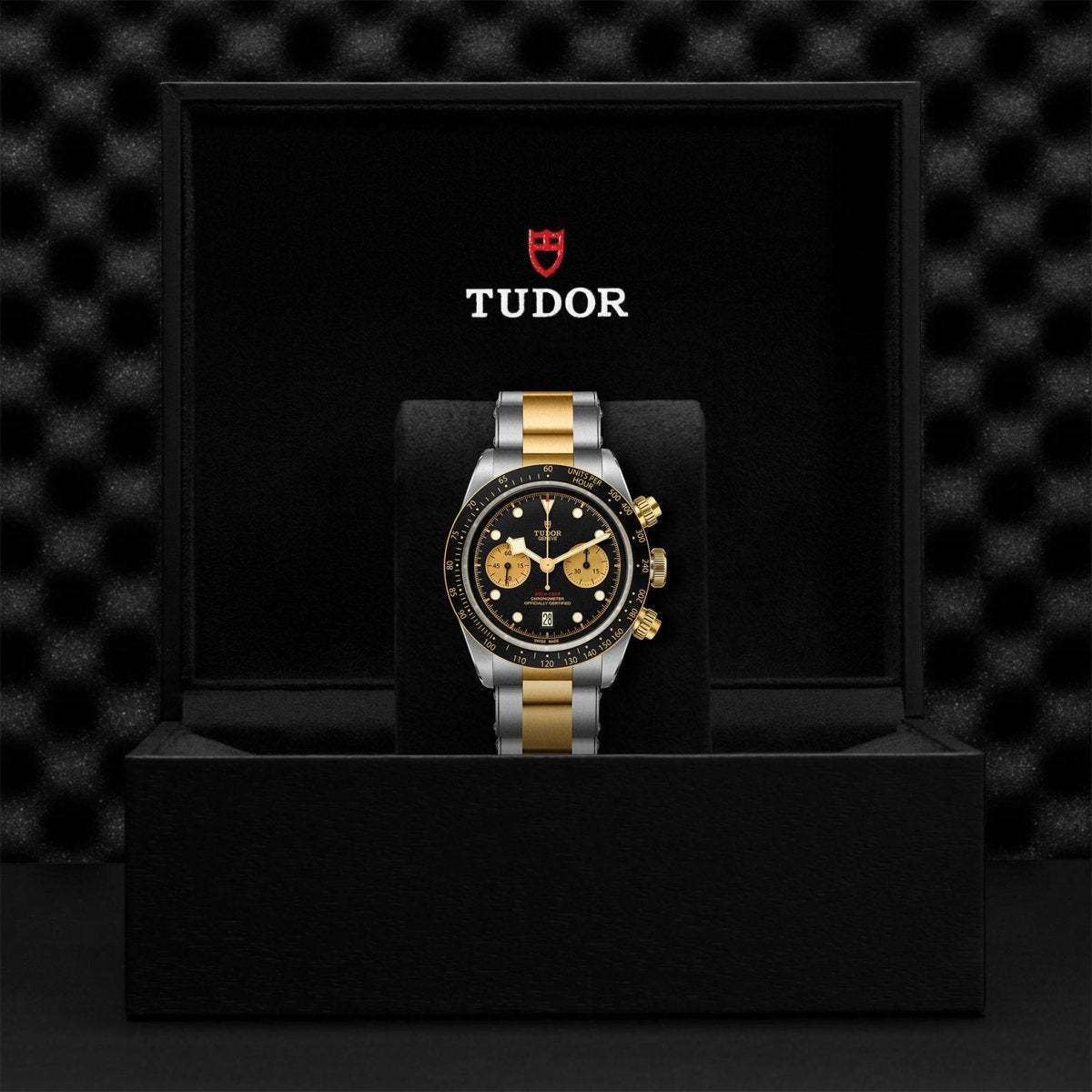 TUDOR - Black Bay Chrono S&G - Tustains Jewellers