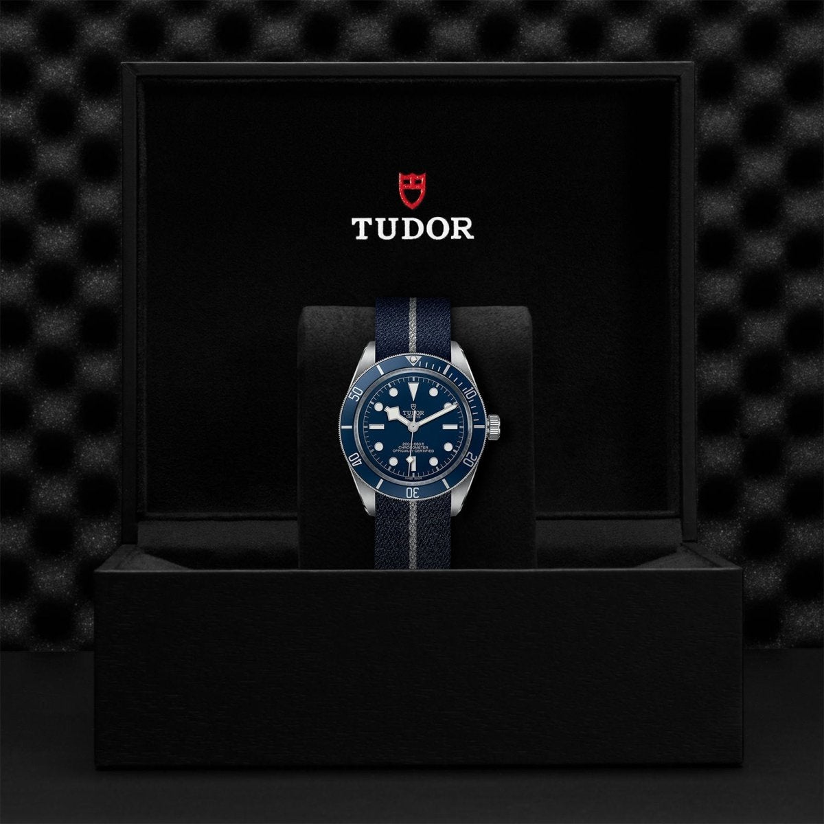 TUDOR - Black Bay Fifty - Eight Navy Blue - Tustains Jewellers