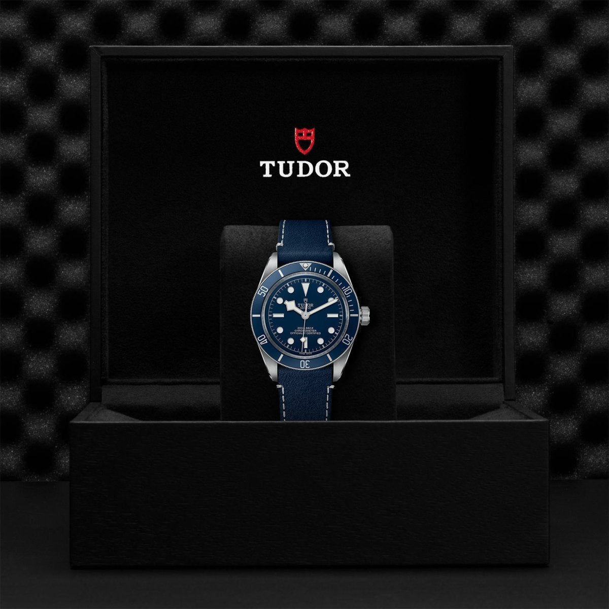 TUDOR - Black Bay Fifty - Eight Navy Blue - Tustains Jewellers