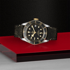 TUDOR - Black Bay S & G - Tustains Jewellers