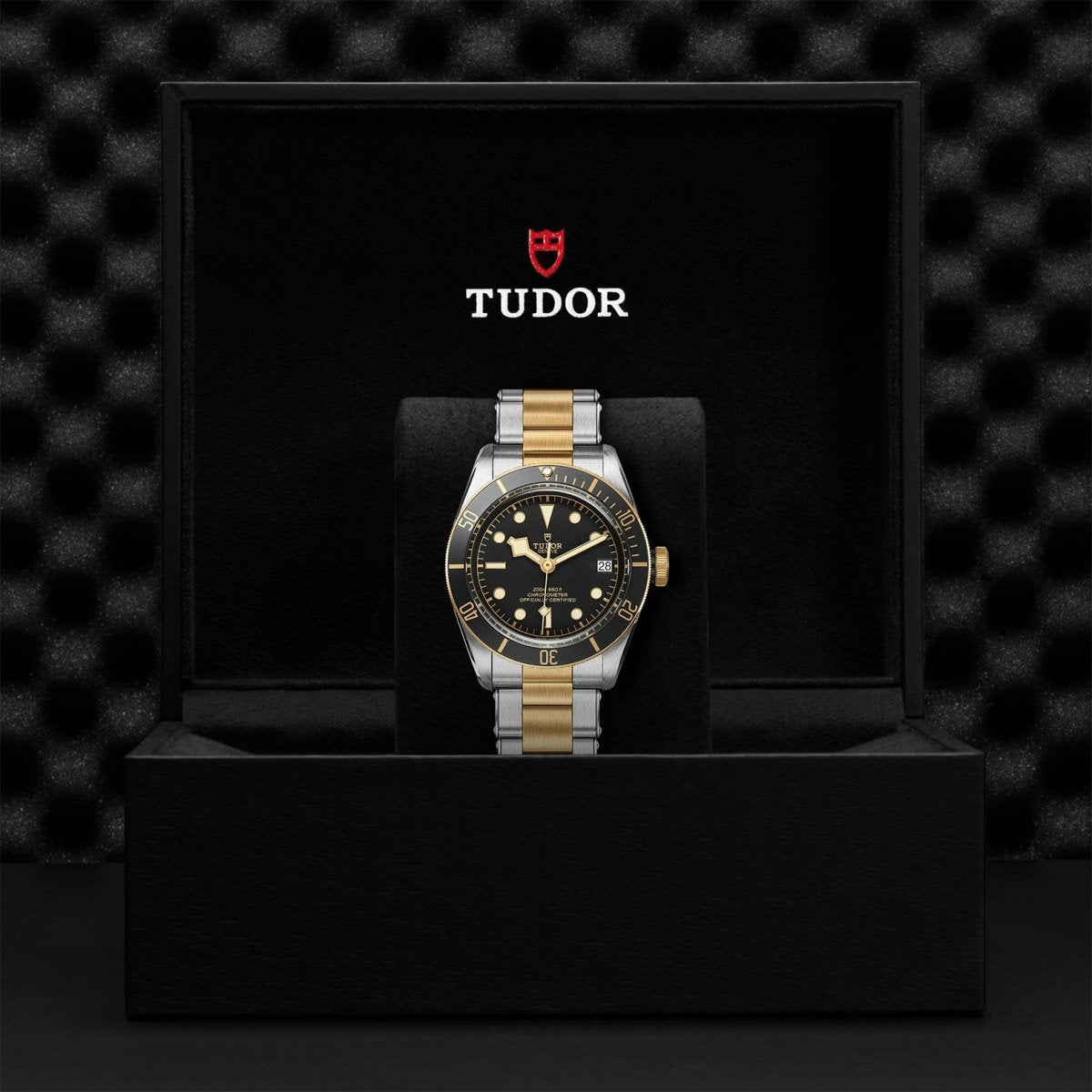 TUDOR - Black Bay S & G - Tustains Jewellers