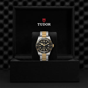 TUDOR - Black Bay S & G - Tustains Jewellers