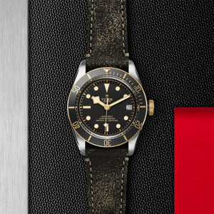 TUDOR - Black Bay S & G - Tustains Jewellers