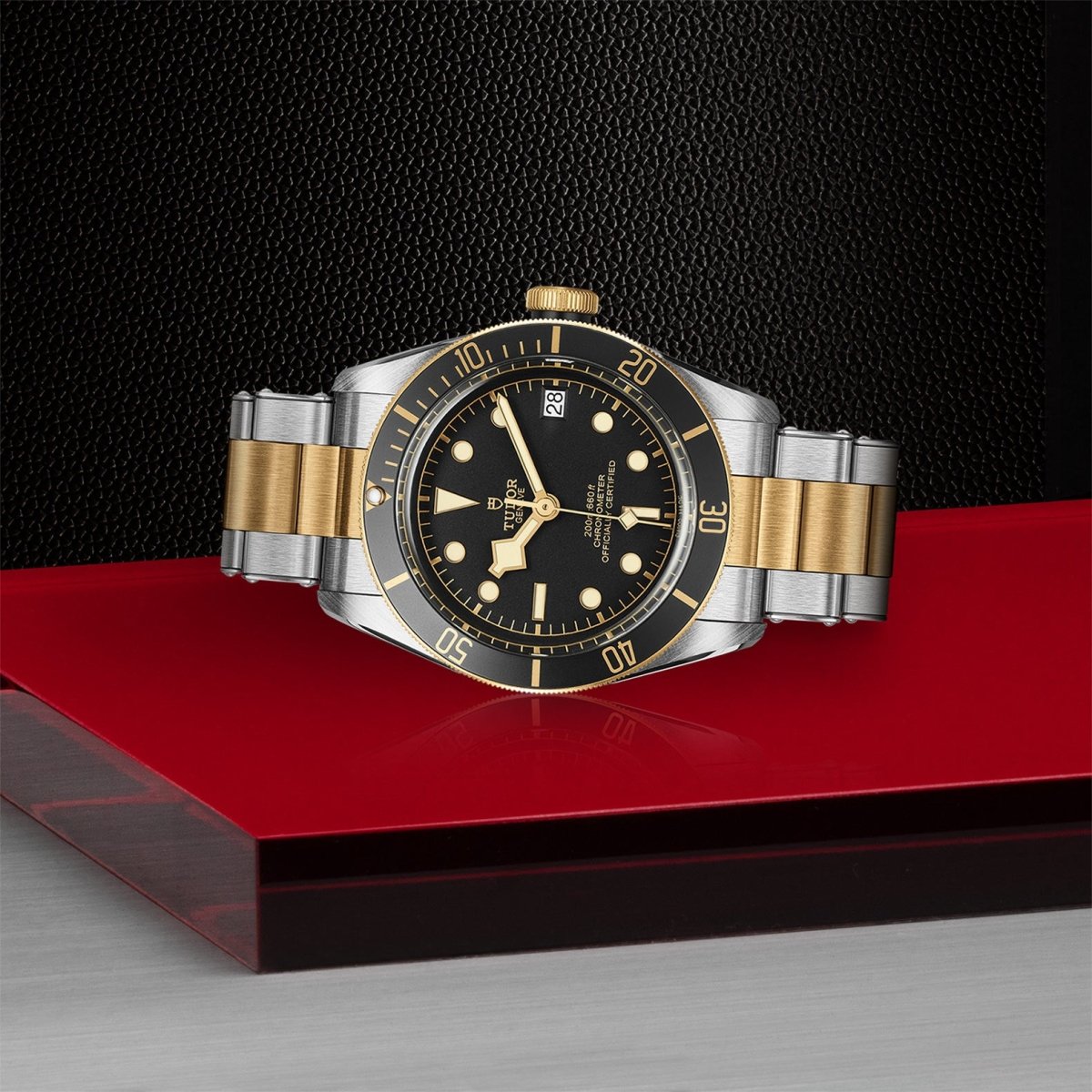 TUDOR - Black Bay S & G - Tustains Jewellers