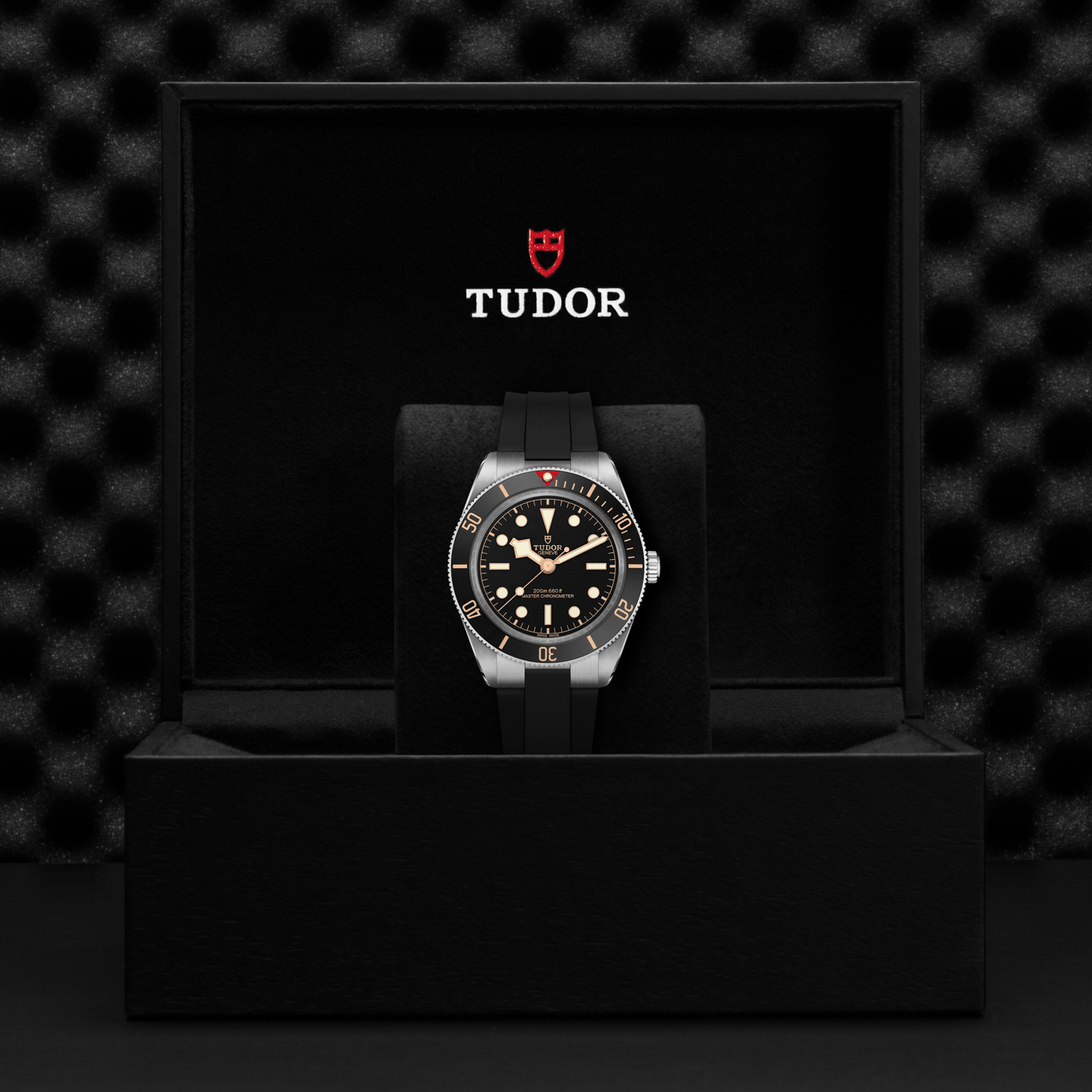 **NEW** TUDOR - Black Bay Fifty-Eight