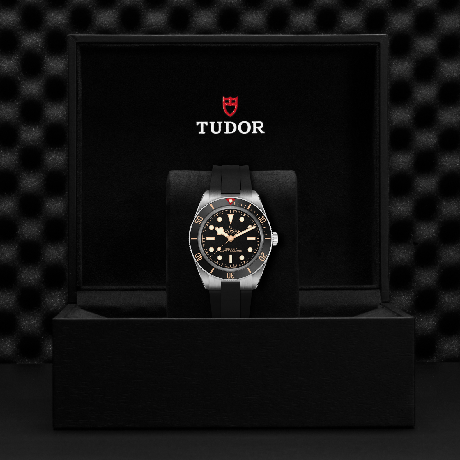 **NEW** TUDOR - Black Bay Fifty-Eight
