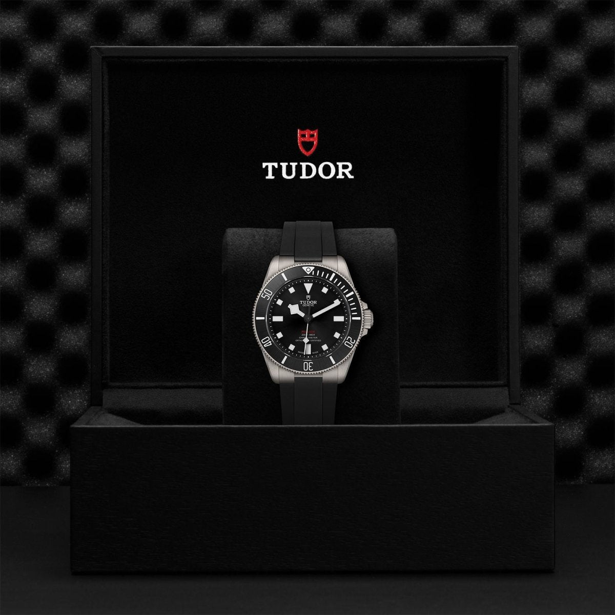 TUDOR - Pelagos 39 - Tustains Jewellers